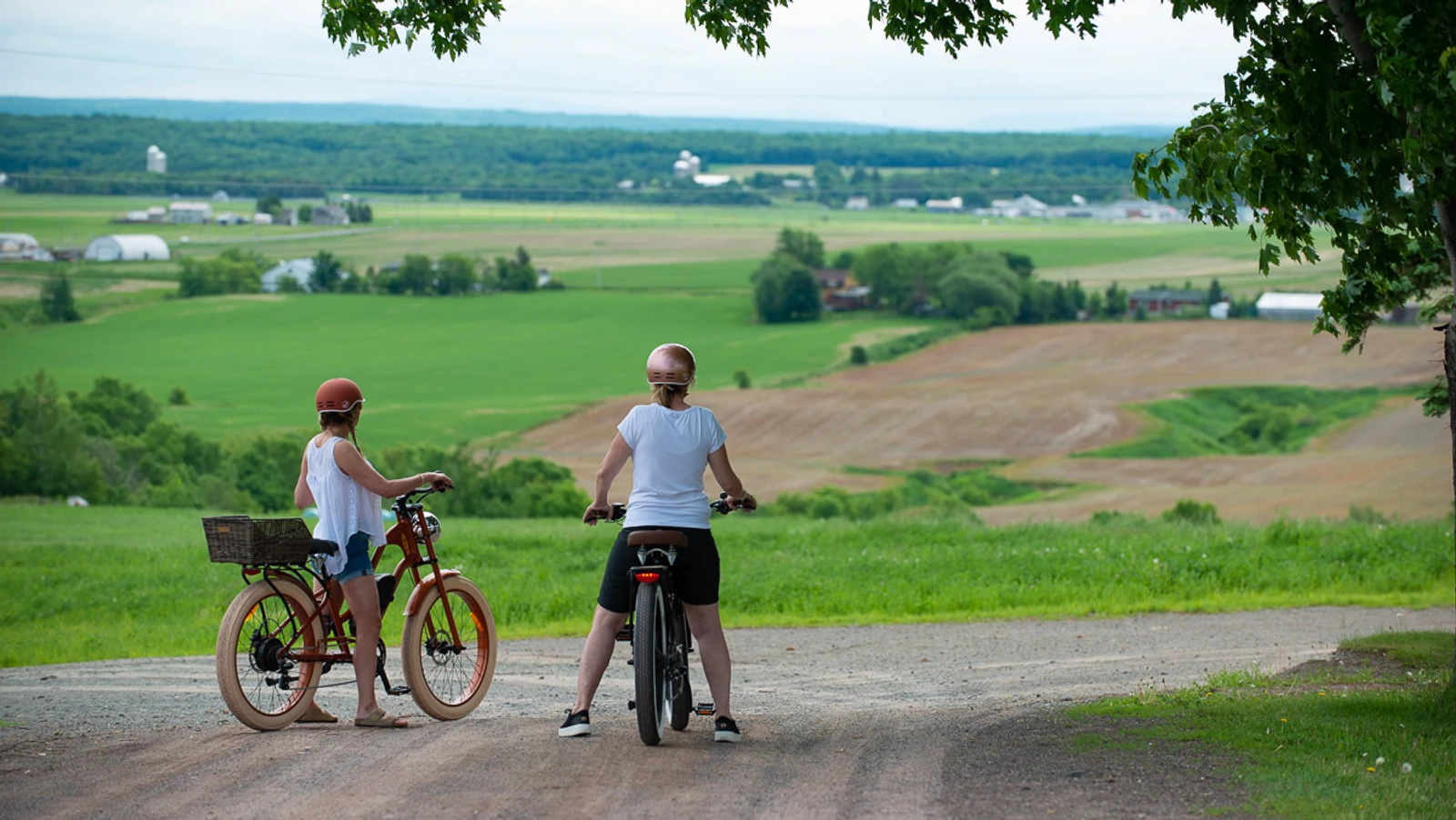 VéloPoP! est un relais et café qui propose la location de vélos électriques vintage à St-Michel-de-Bellechasse. Découvrez les beaux villages et les arrêts gourmands de la région de Bellechasse sur des circuits aux paysages exceptionnels, sur des E-Bikes élégants en toute sécurité ! Réservez dès maintenant! Hébergement disponible près de nos installations. Location de vélos électriques près de Lévis et Québec. Tourisme Bellechasse. Location de E-Bikes. Location vélos électriques St-Michel. Location de E-bikes St-Michel. Location de vélos électriques Lévis. Location de vélos électrique Québec. Location de E-bikes Lévis. Location de E-Bikes Québec. Location de vélos électrique Bellechasse. Location de vélos électriques Etchemins. Location de E-Bikes Bellechasse. Location de E-Bikes Etchemins. Location de vélos électrique Montmagny. Location de E-Bikes Montmagny. Location de vélos électrique Rive-Sud Québec. Location de E-Bikes Rive-Sud Québec.