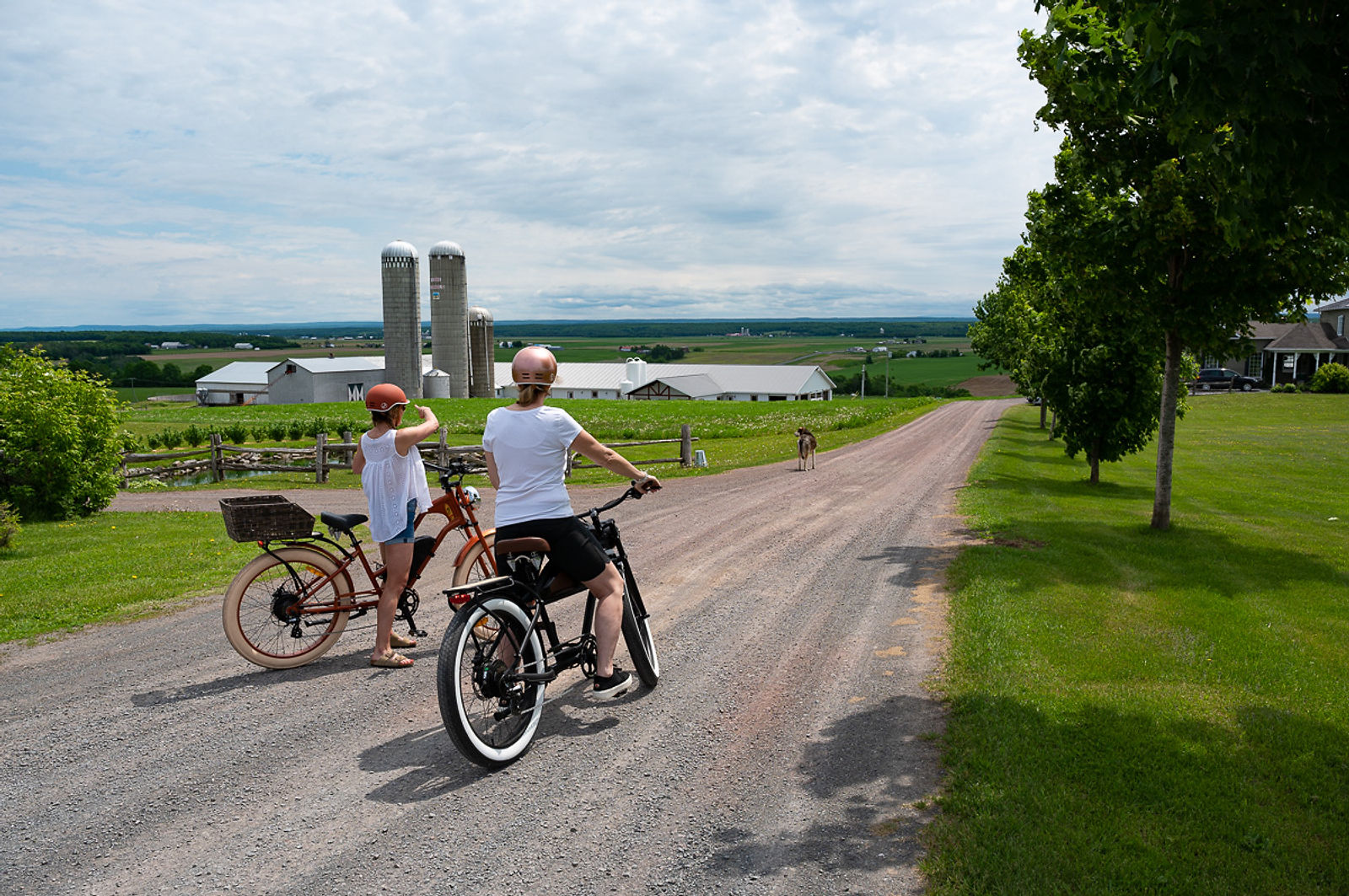 VéloPoP! est un relais et café qui propose la location de vélos électriques vintage à St-Michel-de-Bellechasse. Découvrez les beaux villages et les arrêts gourmands de la région de Bellechasse sur des circuits aux paysages exceptionnels, sur des E-Bikes élégants en toute sécurité ! Réservez dès maintenant! Hébergement disponible près de nos installations. Location de vélos électriques près de Lévis et Québec. Tourisme Bellechasse. Location de E-Bikes. Location vélos électriques St-Michel. Location de E-bikes St-Michel. Location de vélos électriques Lévis. Location de vélos électrique Québec. Location de E-bikes Lévis. Location de E-Bikes Québec. Location de vélos électrique Bellechasse. Location de vélos électriques Etchemins. Location de E-Bikes Bellechasse. Location de E-Bikes Etchemins. Location de vélos électrique Montmagny. Location de E-Bikes Montmagny. Location de vélos électrique Rive-Sud Québec. Location de E-Bikes Rive-Sud Québec.